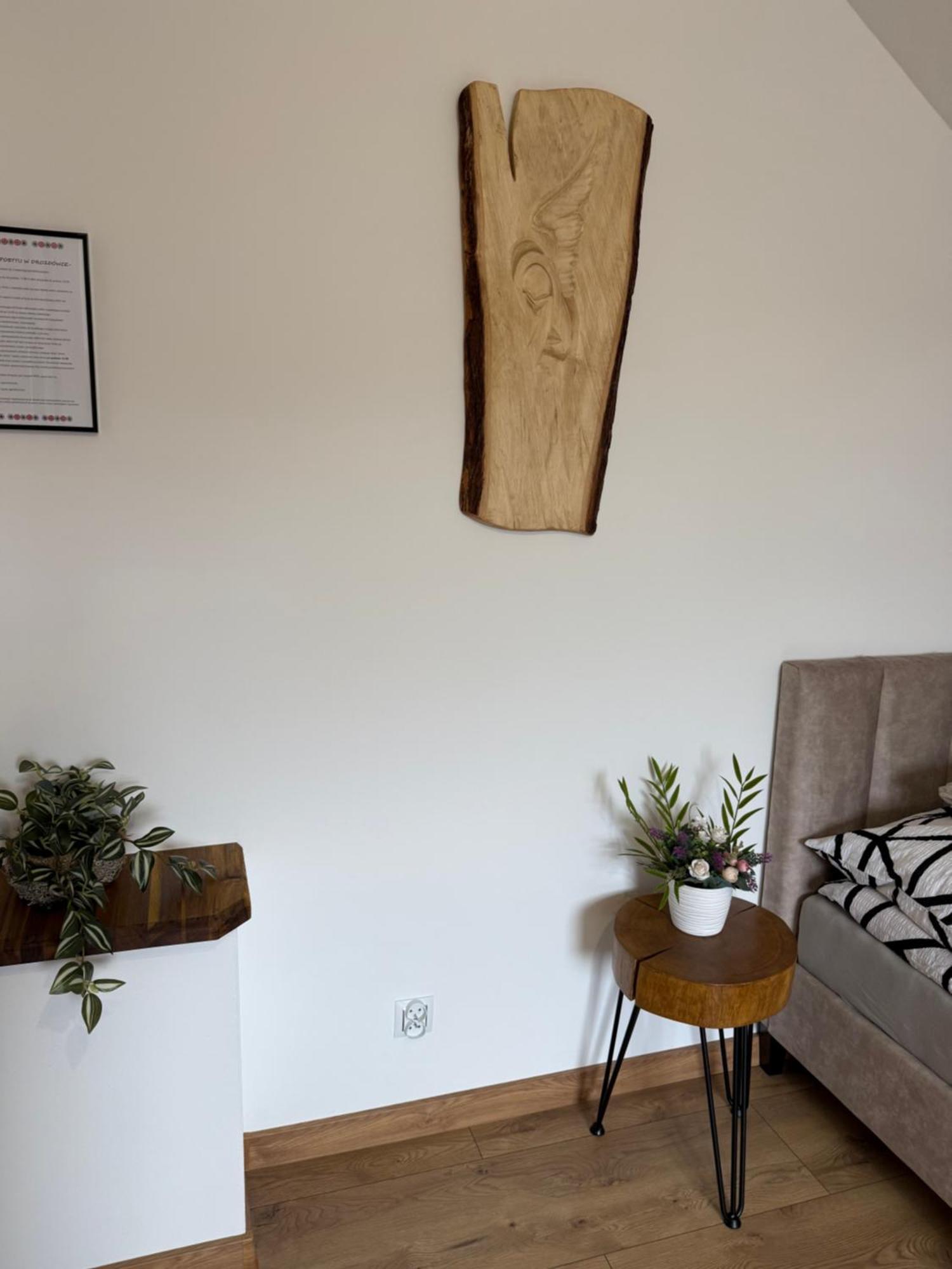 Apartament Z Tarasem I Pokoje Klimatyzowane -Drozdowka Solina Solina  Buitenkant foto